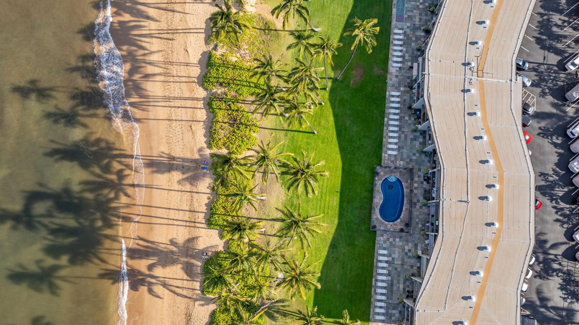 Hale Kai O'Kihei 118 Villa Eksteriør bilde