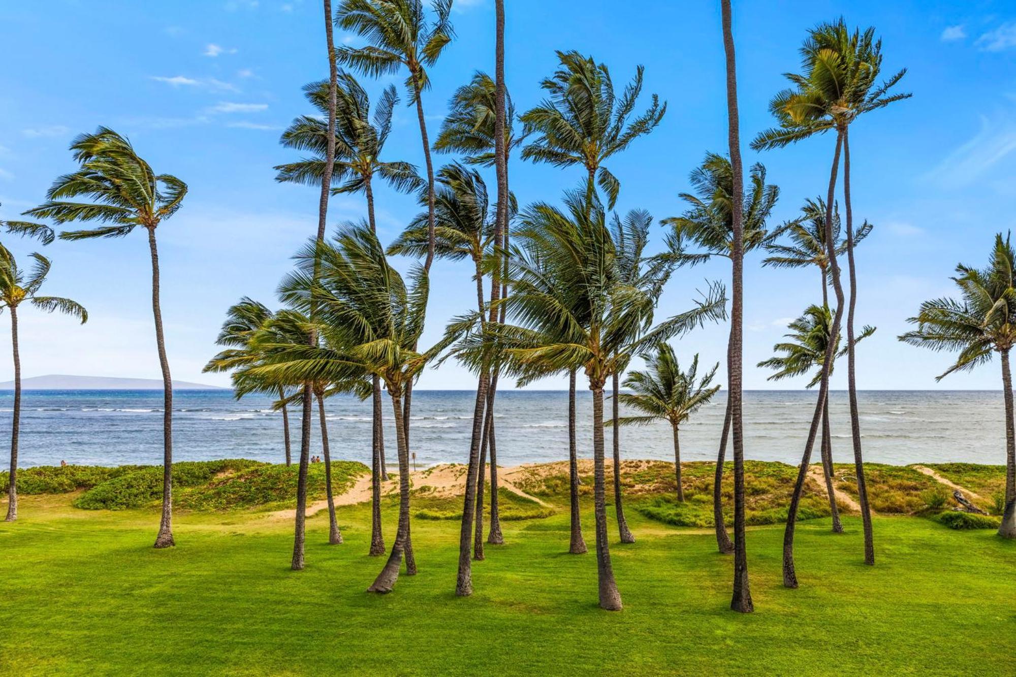Hale Kai O'Kihei 118 Villa Eksteriør bilde