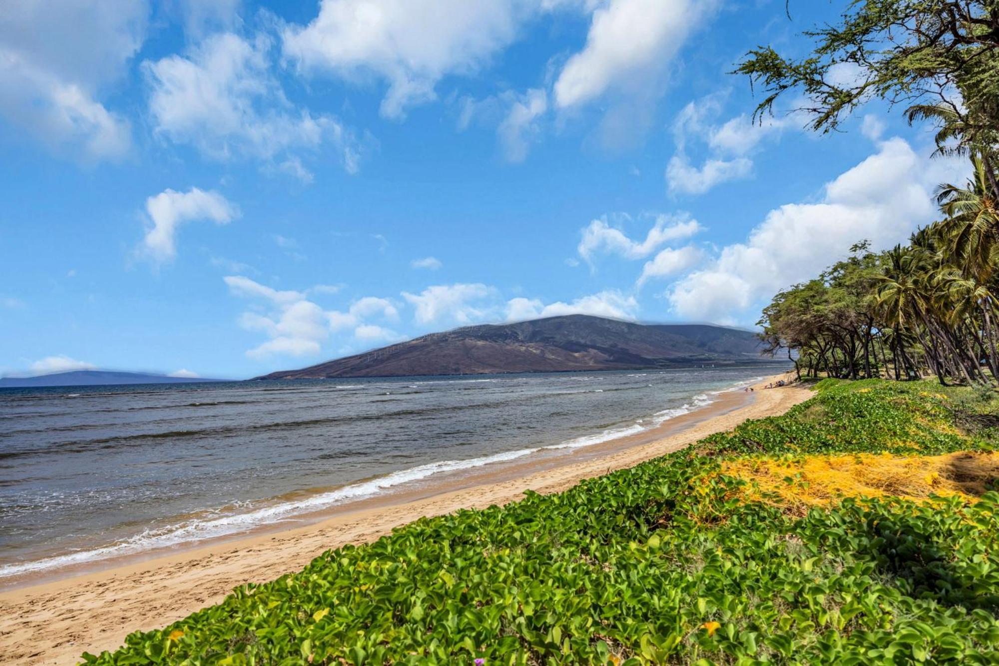 Hale Kai O'Kihei 118 Villa Eksteriør bilde