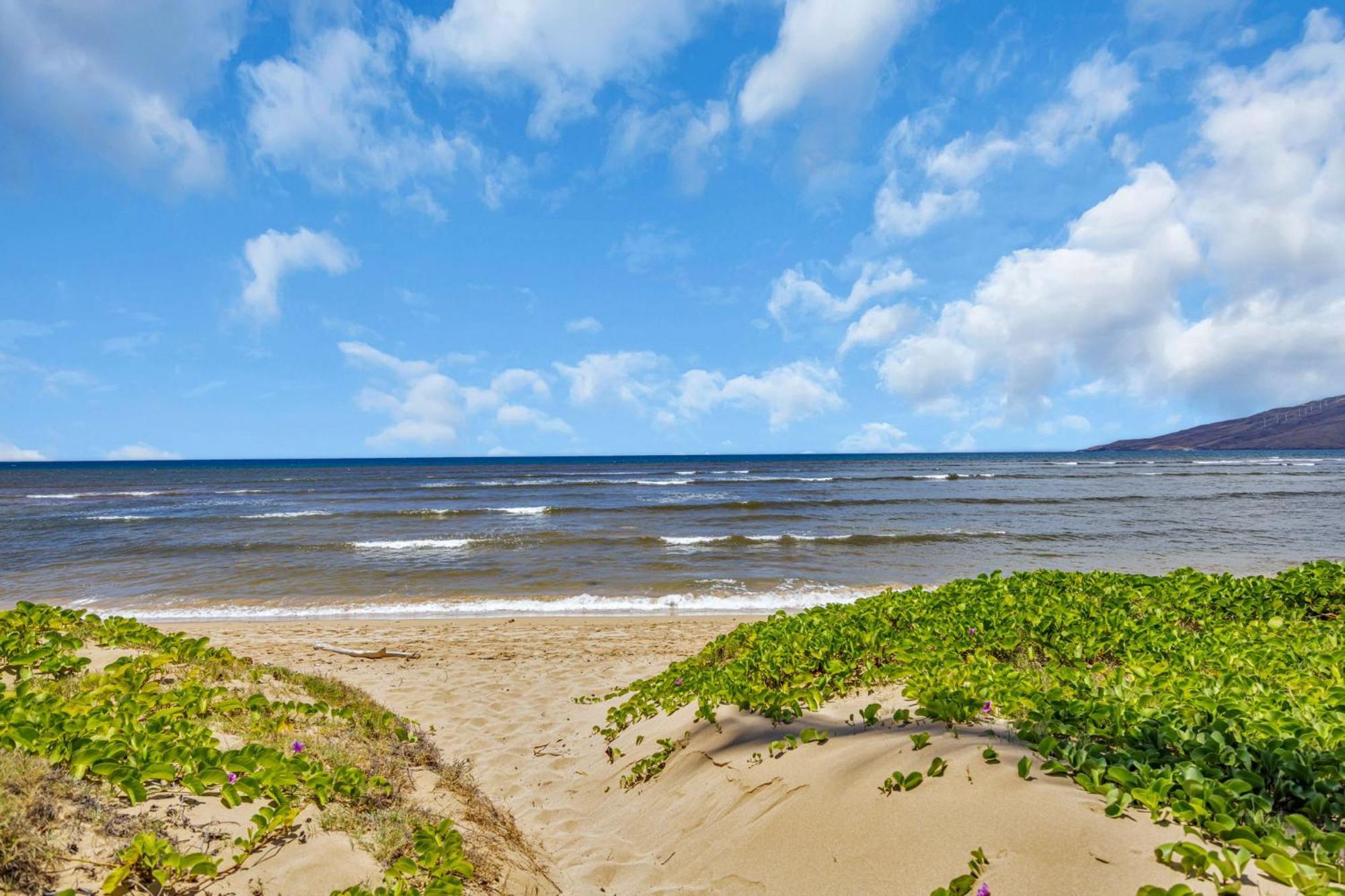 Hale Kai O'Kihei 118 Villa Eksteriør bilde