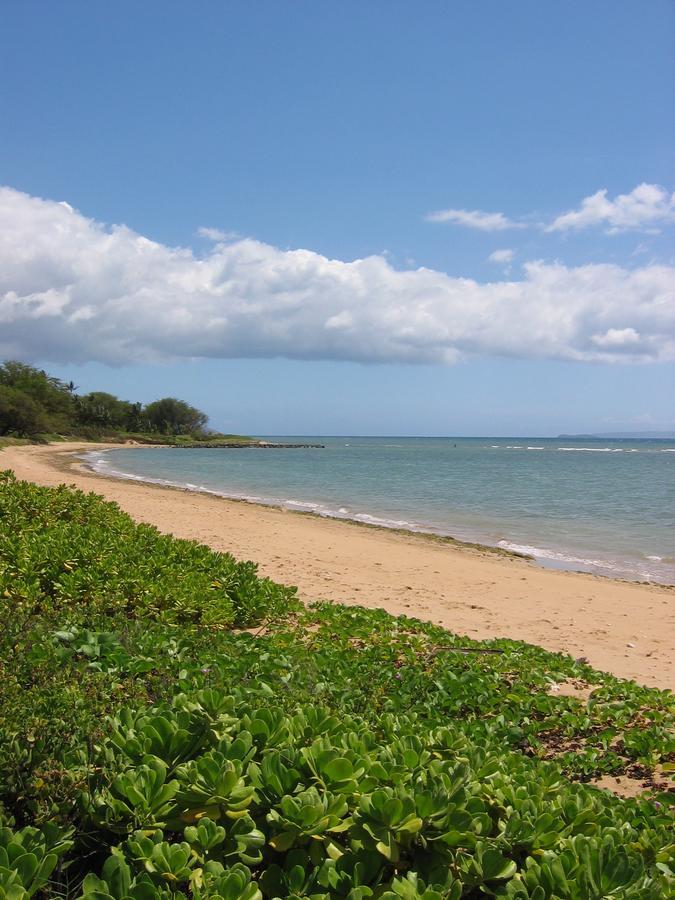 Hale Kai O'Kihei 118 Villa Eksteriør bilde